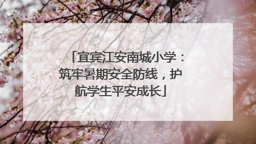 宜宾江安南城小学：筑牢暑期安全防线，护航学生平安成长