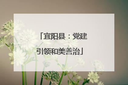 宜阳县：党建引领和美善治