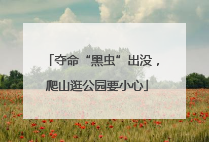 夺命“黑虫”出没，爬山逛公园要小心