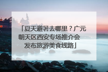 夏天避暑去哪里？广元朝天区西安专场推介会 发布旅游美食线路