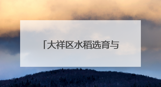 大祥区水稻选育与应用项目实现新突破，农业农村局全程护航成果斐然