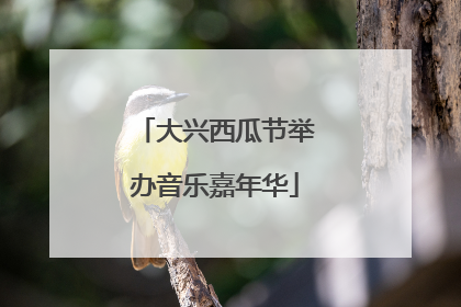 大兴西瓜节举办音乐嘉年华