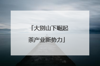 大别山下崛起茶产业新势力