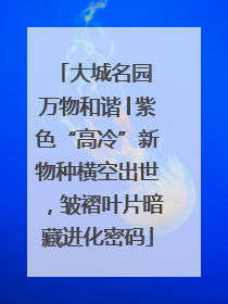 大城名园 万物和谐│紫色“高冷”新物种横空出世，皱褶叶片暗藏进化密码