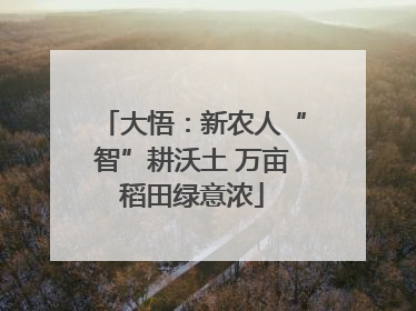 大悟：新农人“智”耕沃土 万亩稻田绿意浓