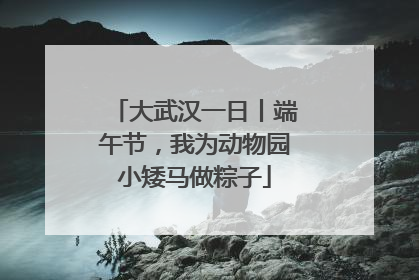 大武汉一日丨端午节，我为动物园小矮马做粽子