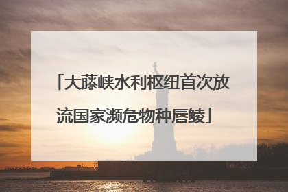 大藤峡水利枢纽首次放流国家濒危物种唇鲮
