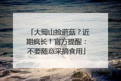 大蜀山捡蘑菇？近期疯长！官方提醒：不要随意采摘食用