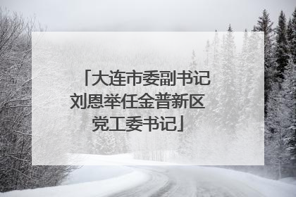 大连市委副书记刘恩举任金普新区党工委书记