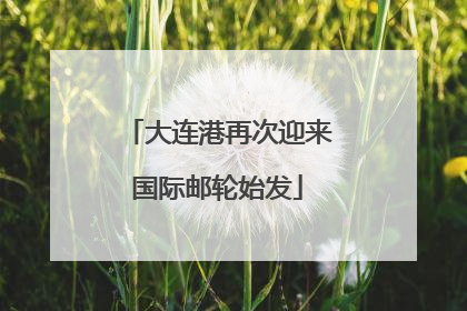 大连港再次迎来国际邮轮始发