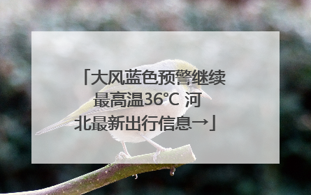 大风蓝色预警继续 最高温36℃ 河北最新出行信息→