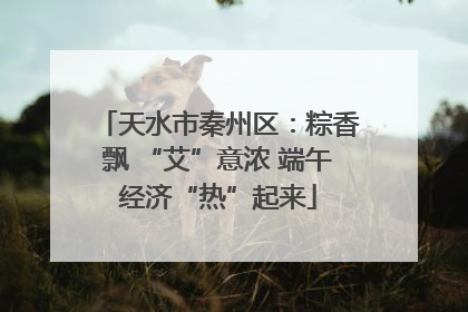 天水市秦州区：粽香飘 “艾”意浓 端午经济“热”起来