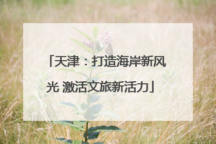 天津：打造海岸新风光 激活文旅新活力