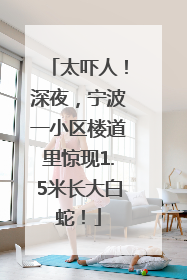 太吓人！深夜，宁波一小区楼道里惊现1.5米长大白蛇！