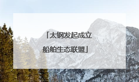 太钢发起成立船舶生态联盟