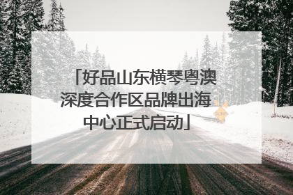 好品山东横琴粤澳深度合作区品牌出海中心正式启动