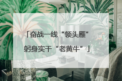 奋战一线“领头雁” 躬身实干“老黄牛”