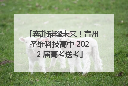 奔赴璀璨未来！青州圣维科技高中 2022 届高考送考
