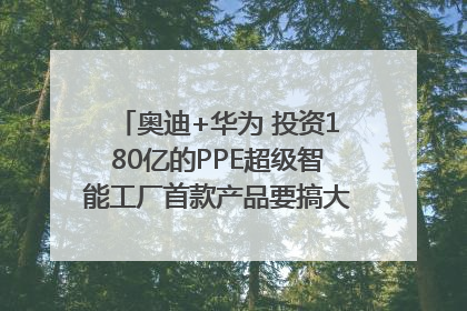 奥迪+华为 投资180亿的PPE超级智能工厂首款产品要搞大事情？｜粤港澳车展