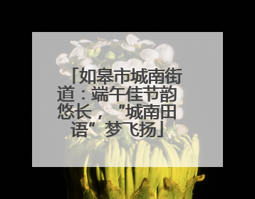 如皋市城南街道：端午佳节韵悠长，“城南田语”梦飞扬