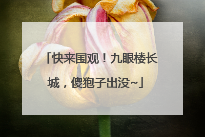 快来围观！九眼楼长城，傻狍子出没~