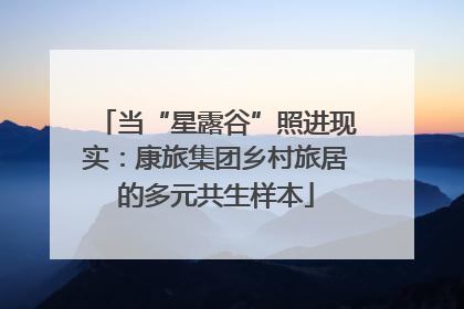 当“星露谷”照进现实：康旅集团乡村旅居的多元共生样本