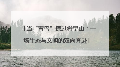 当“青鸟”掠过舜皇山：一场生态与文明的双向奔赴