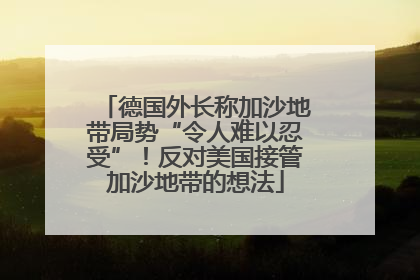 德国外长称加沙地带局势“令人难以忍受”！反对美国接管加沙地带的想法