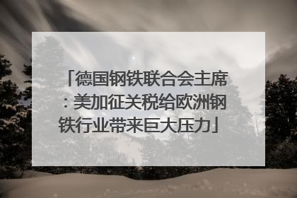 德国钢铁联合会主席：美加征关税给欧洲钢铁行业带来巨大压力