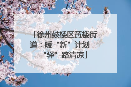 徐州鼓楼区黄楼街道：暖“新”计划 “驿”路清凉