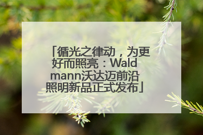循光之律动，为更好而照亮：Waldmann沃达迈前沿照明新品正式发布