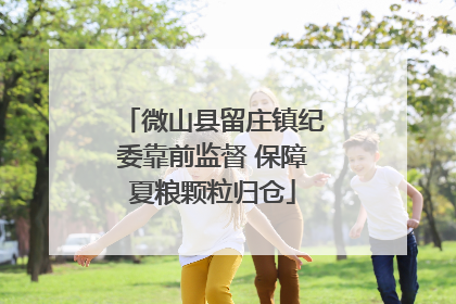 微山县留庄镇纪委靠前监督 保障夏粮颗粒归仓