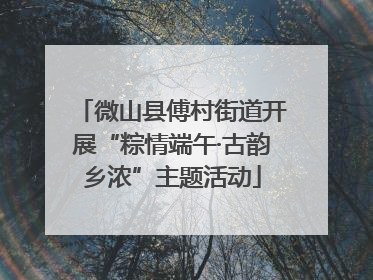 微山县傅村街道开展“粽情端午·古韵乡浓”主题活动