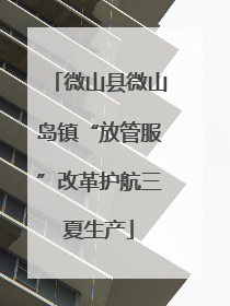 微山县微山岛镇“放管服”改革护航三夏生产