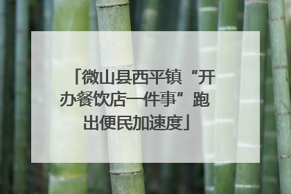 微山县西平镇“开办餐饮店一件事”跑出便民加速度