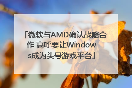 微软与AMD确认战略合作 高呼要让Windows成为头号游戏平台