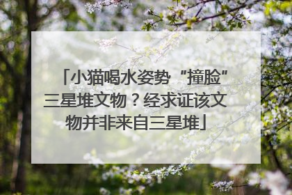 小猫喝水姿势“撞脸”三星堆文物？经求证该文物并非来自三星堆