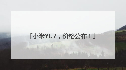 小米YU7，价格公布！