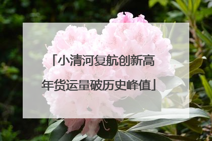 小清河复航创新高 年货运量破历史峰值