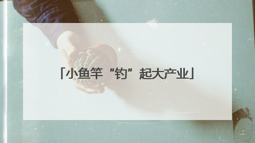 小鱼竿“钓”起大产业
