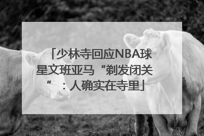 少林寺回应NBA球星文班亚马“剃发闭关”：人确实在寺里