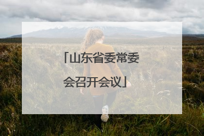 山东省委常委会召开会议