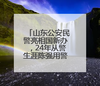 山东公安民警亮相国新办，24年从警生涯陈强用警徽照亮国际维和路