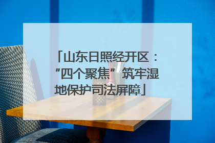 山东日照经开区：“四个聚焦”筑牢湿地保护司法屏障