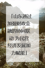 山东通过加强财政金融的协同联动 为民营经济发展加力赋能