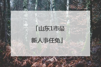 山东1市最新人事任免