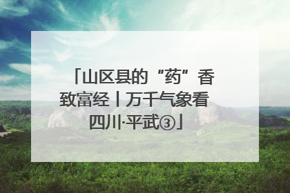 山区县的“药”香致富经丨万千气象看四川·平武③