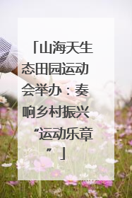 山海天生态田园运动会举办：奏响乡村振兴“运动乐章”