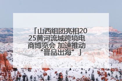 山西组团亮相2025黄河流域跨境电商博览会 加速推动“晋品出海”