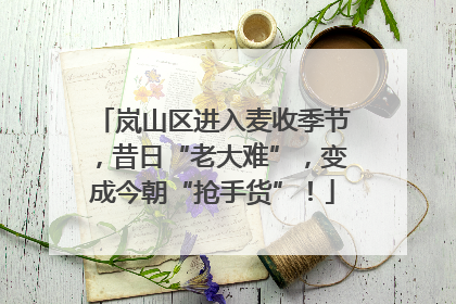 岚山区进入麦收季节，昔日“老大难”，变成今朝“抢手货”！